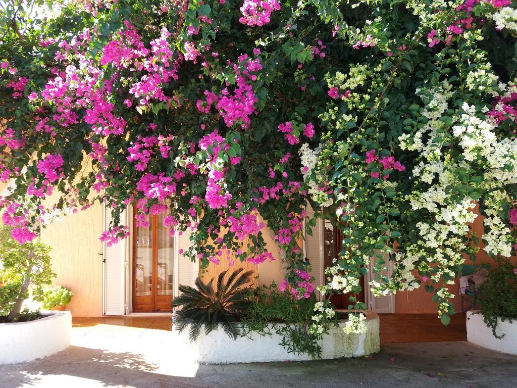 Constantinos Apartments لاسي المظهر الخارجي الصورة