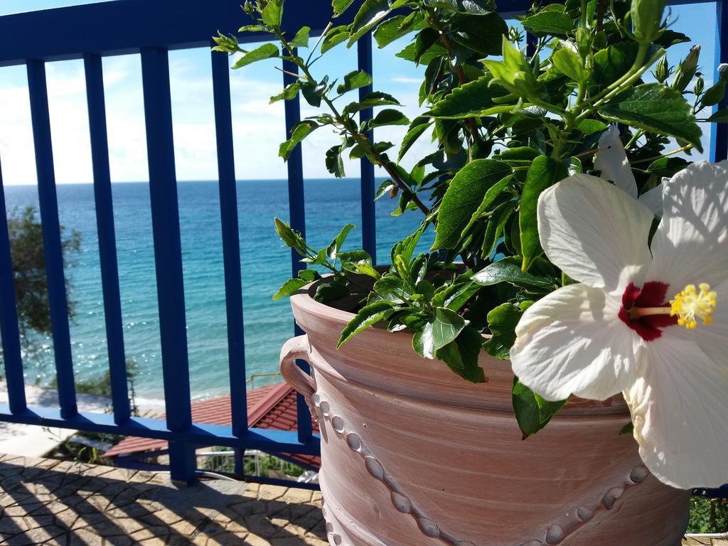 Constantinos Apartments لاسي المظهر الخارجي الصورة