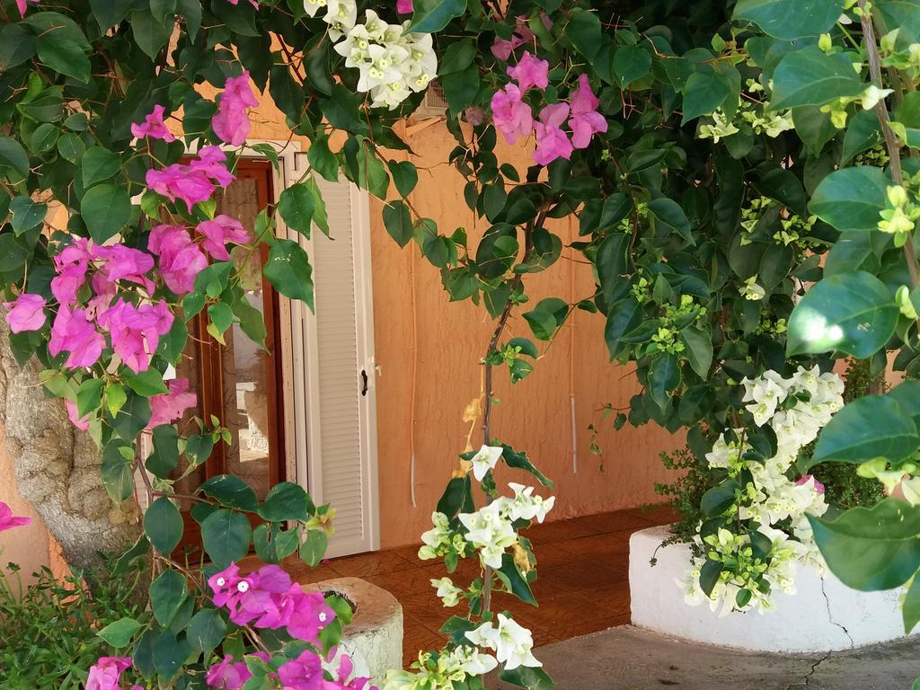 Constantinos Apartments لاسي المظهر الخارجي الصورة