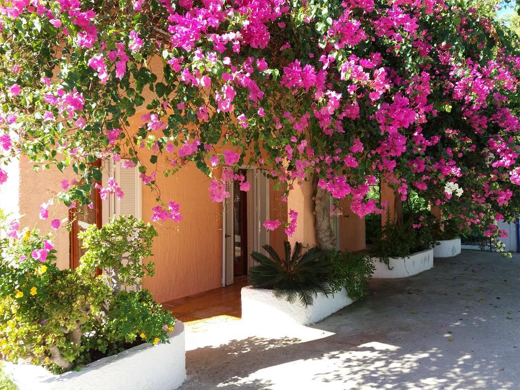Constantinos Apartments لاسي المظهر الخارجي الصورة
